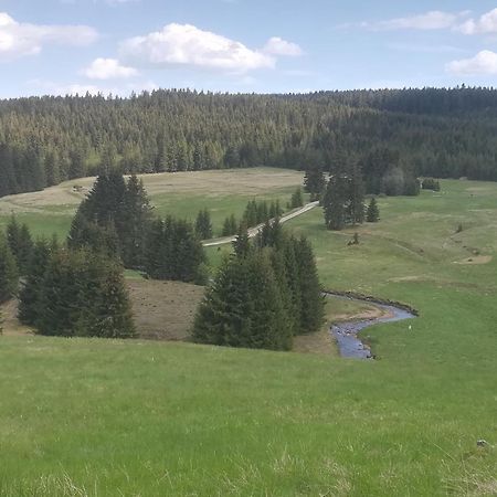 Ferienwohnung Zern Johanngeorgenstadt Esterno foto