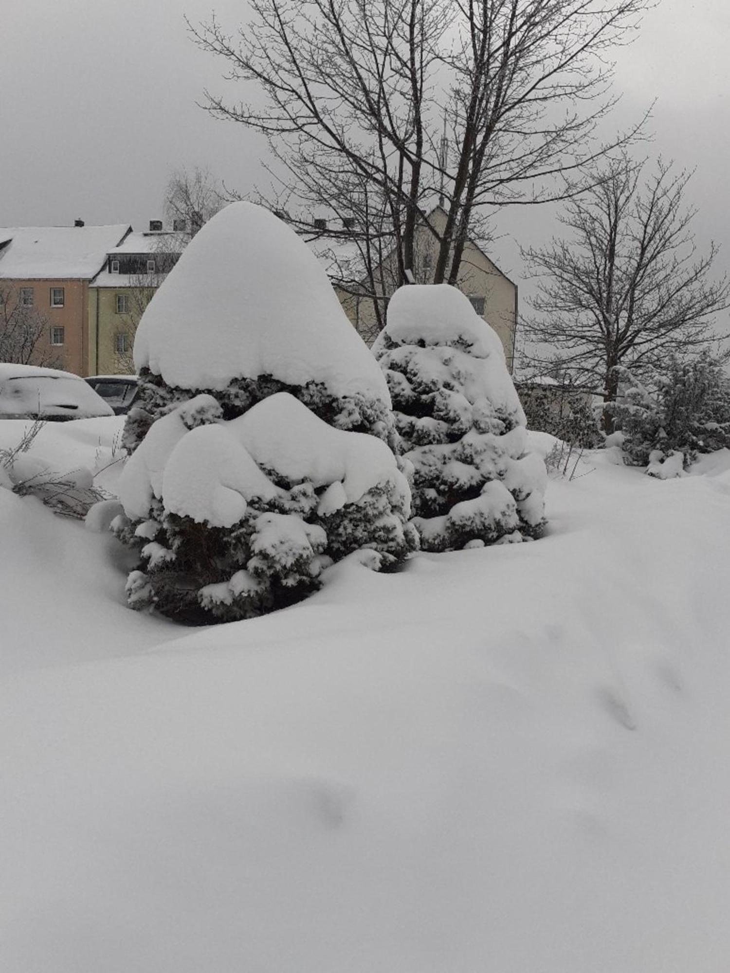 Ferienwohnung Zern Johanngeorgenstadt Esterno foto